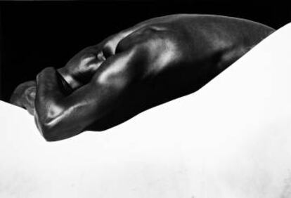 Man´s Back Horse, Camargue, Francia, 1994