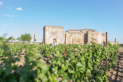 Algunas de las viñas del hotel y bodega Posada Real Castillo del Buen Amor en Villanueva de Cañedo, en el municipio salmantino de Topas.  