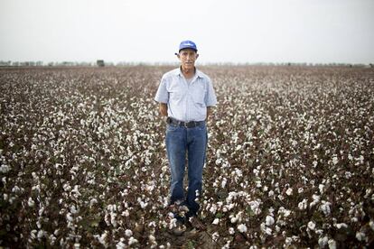 José Doña en su campo de algodón.