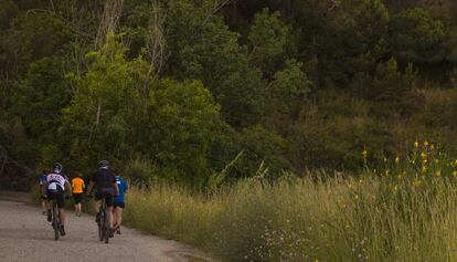 Ciclistas en la sierra de Collserola