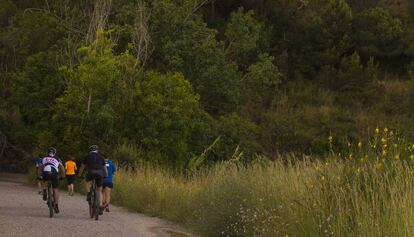 Ciclistas en la sierra de Collserola 