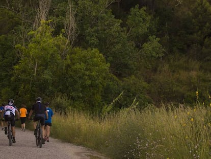 Ciclistas en la sierra de Collserola 