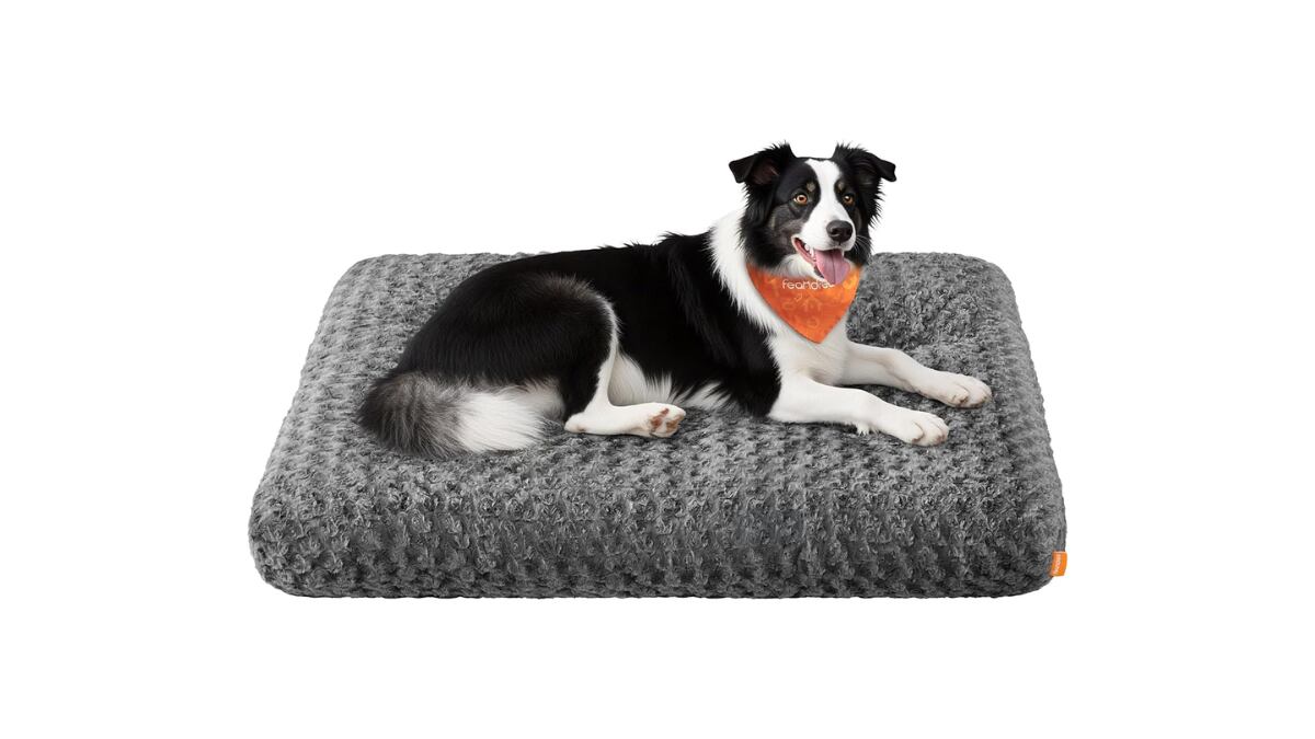 Cama para Perros