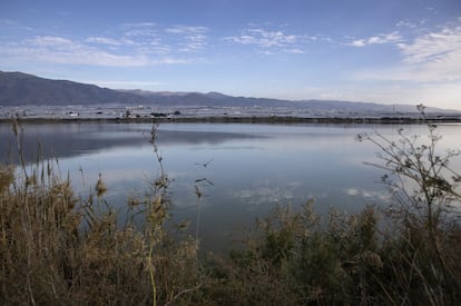 Parque Ornitológico de la Balsa del Sapo, en Las Norias, al fondo, el núcleo urbano de El Ejido. Almería