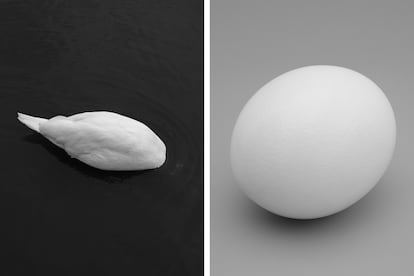 'El cisne es el huevo y el huevo es el cisne'.
