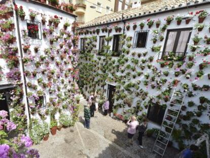 Uno de los patios de Córdoba adornado con flores para el concurso.