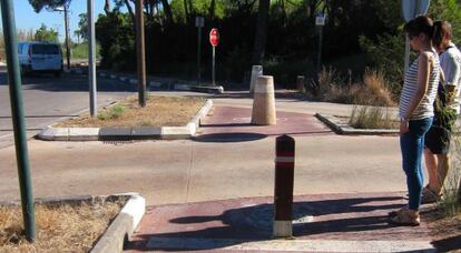 Bolardos r&iacute;gidos en medio del carril bici a su paso por la pedan&iacute;a de El Saler. 