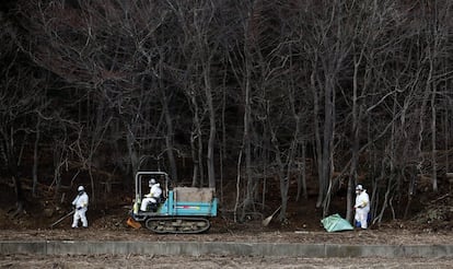 Tasques de descontaminació en un bosc de Tomioka.