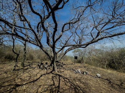 Tala, Jalisco