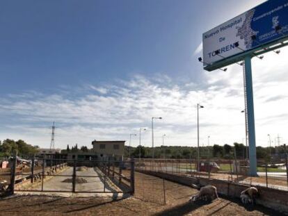 Solar en el que se tenía que construir el hospital de Torrent, como anuncia el cartel luminoso, y donde por ahora pacen los corderos.