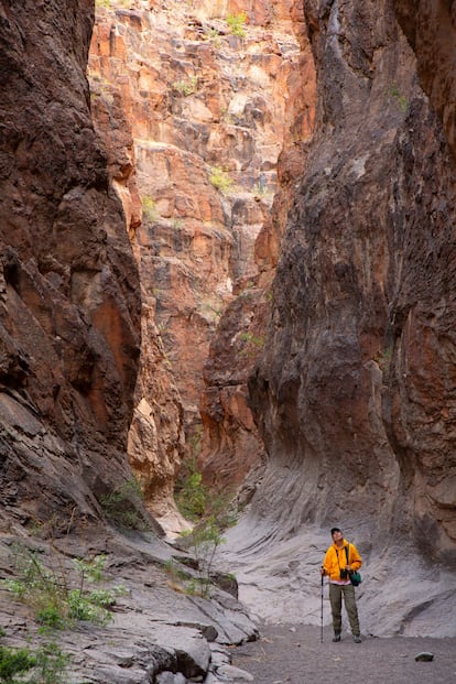 Un excursionista recorriendo uno de los cañones del parque nacional Big Bend (Texas, EE UU).