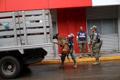Eco, un perro de rescate de la Marina mexicana que participa en las tareas de búsqueda de supervivientes es transportado en un camión en Juchitán, el 10 de septiembre de 2017. 