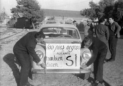 Franceses nacidos en Argelia hacen en Alicante campa&ntilde;a a favor del s&iacute; en el refer&eacute;ndum organizado por Franco en 1966.