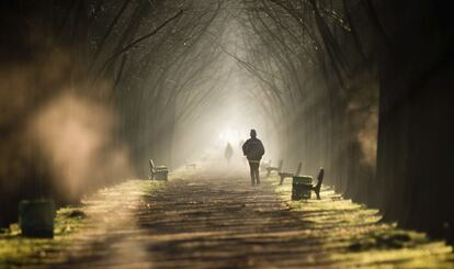 Un hombre corre por Herrenhaeuser Allee en Hannover (Alemania).