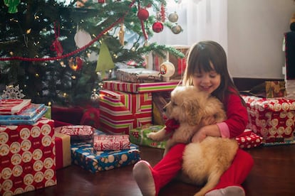 Un perro debe ser un regalo responsable. 