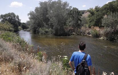 Un senderista observa el cauce del río Jarama a su paso por el término de Rivas- Vaciamadrid.