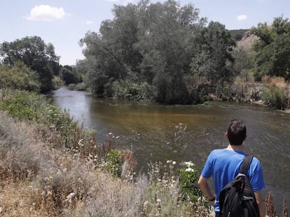 Un senderista observa el cauce del río Jarama a su paso por el término de Rivas- Vaciamadrid.