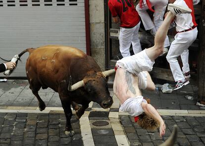 El primer encierro de los sanfermines, protagonizado por toros de la ganadería de Jandilla, ha sido rápido y ha propiciado momentos de peligro, con varios mozos alcanzados por las reses y un herido por asta de toro. En la imagen, el toro cornea a un corredor.