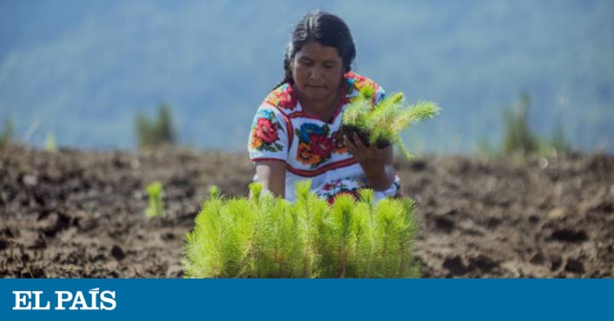 diagrama de agricultura cambiante