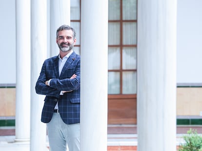 El consejero andaluz de Sostenibilidad y portavoz de la Junta, Ramón Fernández-Pacheco, en el Parlamento autonómico, este jueves.