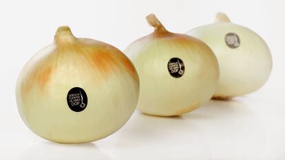 Guía gastro
