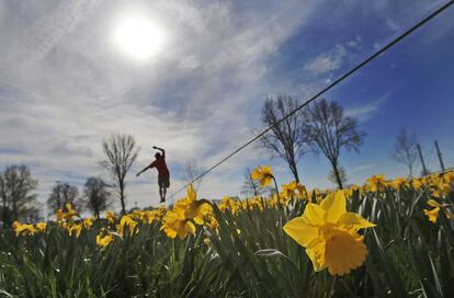 Una persona recorre un parque de Dusseldorf haciendo equilibrios por una cuerda situada sobre un campo de flores, el día del comienzo oficial de la primavera.