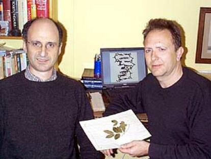 Los investigadores españoles Miquel Coll, a la izquierda y Joan Aymami, a la derecha, con una muestra de la liana <i>Cryptolepsis sanguinolenta</i>, de la que se extrae el fármaco estudiado por ambos.