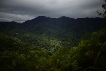 Vista das montanhas da Sierra Maestra a partir da cidade de La Plata (Cuba). A vista foi fotografada da estrada usada pelos guerrilheiros para ir à Comandancia de la Plata.