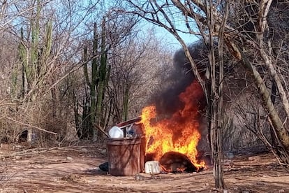 The Mexican military burns remnants of an illegal drug laboratory in a wooded area of the mountainous Cosalá region of Sinaloa. UN recommendations say such burnings should occur at least 100 meters from trees. Photo: Sedena.