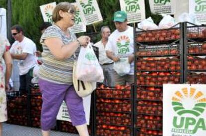 Unas mujer recibe hortalizas gratuitamente tras escribir en el "muro de las lamentaciones", levantado por la Unión de Pequeños Agricultores (UPA) de Andalucía.