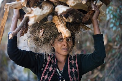 Las mujeres de Uttaranchal, en India, dedican mucho tiempo a recolectar madera. Los Acuerdos de París fueron firmados por casi 200 países durante la Cumbre del Clima de 2015 en la capital de Francia. Presenta múltiples objetivos, pero el más ambicioso es que el mundo logre limitar la subida de la temperatura media global a 2 grados respecto a los niveles preindustriales, y preferiblemente 1,5, para evitar que continúe el derretimiento de los polos, la subida del nivel del mar y el incremento de los fenómenos climáticos extremos.