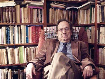 "Ningún país continental ha intentado inventar la noción de literatura europea y pensé que debía abordarse", afirma José-Carlos Mainer, director de <i>Historia de la Literatura Española. </i>