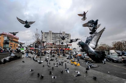 Las palomas sobrevuelan la entrada de la estación de metro Marksistskaya, en Moscú.