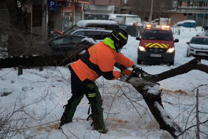 Un bombero corta la rama de un árbol caído durante el temporal, en la calle Lago Constanza de Madrid.