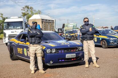 El camión especial, con tres vehículos de escolta, cruzó a Brasil por la frontera de Corrientes y circuló durante 109 horas, sin otras paradas que las realizadas cada tres horas para asegurarse de que la elefanta estaba hidratada y tranquila, y dos noches de hotel.