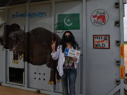 Cher posa junto ao abrigo no qual Kaavan foi transportado durante a sua viagem ao Camboja