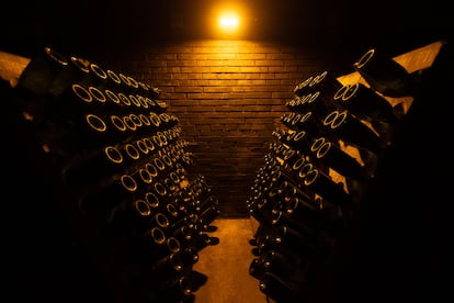 Varias botellas envejecen en la cueva de Mestres.
