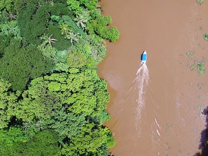 Crónicas desde Costa Rica: el río Sierpe