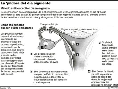 GRÁFICO