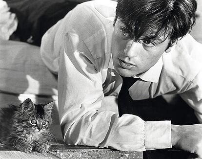 Alain Delon en 'Los felinos' (René Clement, 1964). 