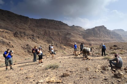 Un grupo de senderistas en un tramo de la Jordan Trail a su paso por la zona montañosa de Ash-Sharat.