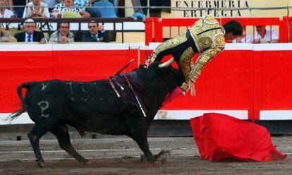 El torero Jiménez Fortes cogido por un toro.