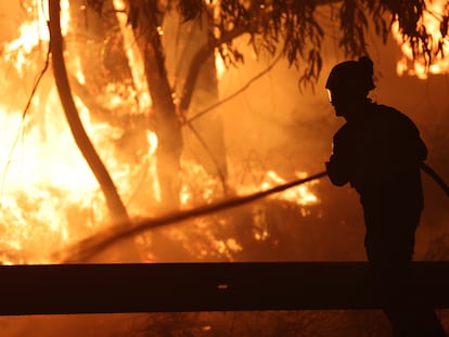 Un bombero forestal lucha contra el fuego en la localidad de Caldas de Reis, en Pontevedra, el pasado 5 de agosto.