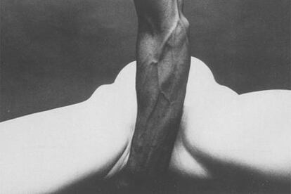 <i>Abrazo número 48 <i>(1979), de Eiko Hossoe.