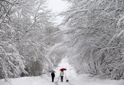 Navarra, España, 14 de marzo de 2013. Dos jóvenes pasean con su perro por una carretera cercana a Roncesvalles, en Navarra, con todo cubierto de nieve. El temporal causó el cierre de algunos puertos en la comunidad y de carreteras. Un millar de escolares se tuvieron que quedar en casa. En Roncesvalles, la nieve acumulada superó los 30 centímetros.