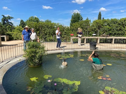 Beatriz Perlines, directora de la Escuela Taller del Botánico, coordina el mantenimiento de los nenúfares.