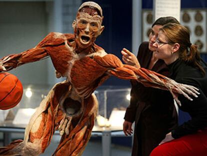 Dos mujeres observan una obra de Von Hagens en una exposición abierta este mes en Francfort.