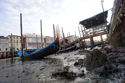 Las góndolas yacen en el fondo del Gran Canal durante una marea inusualmente baja en Venecia, el día 6 de febrero.
