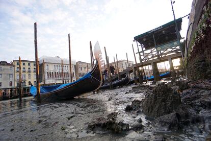 Las góndolas yacen en el fondo del Gran Canal durante una marea inusualmente baja en Venecia, el día 6 de febrero.