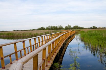 Tablas de Daimiel, en Ciudad Real, con algo más de 3.000 hectáreas, es el parque nacional más pequeño de España. Se trata de la última tabla fluvial de la llanura central de la península, una formación que se produce por el desbordamiento de los ríos Guadiana y Cigüela, favorecido por la escasa pendiente del terreno. Tras años de degradación por la sobreexplotación de sus acuíferos, este humedal prácticamente único en Europa parece más recuperado. Su característica cubierta vegetal es un paraíso para las aves acuáticas.